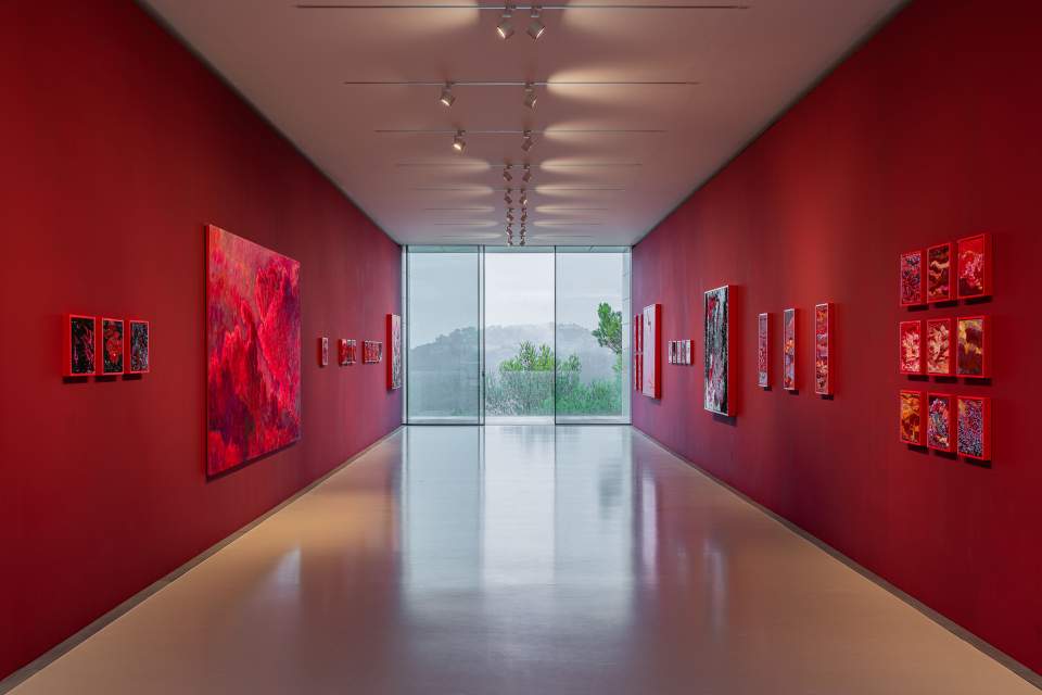 Work - Tia Thuy Nguyen, Floating in the Nothingness (2022)